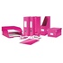 Papírenské zboží - Leitz Click & Store Medium Universalbox, Pink