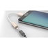 Papírenské zboží - USB-Kabel (2.0), USB C M- audio jack (3.5mm) F, 0.1m, reversible, gold, Apacer, box, DC150, APDC150C-1