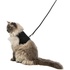 Papírenské zboží - Softgeschirr mit Leine für Katze XL 36-54cm / 1,20m schwarz
