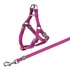 Papírenské zboží - Nylon-Katzengeschirr mit Leine 26–37 cm/10 mm, 1,20 m