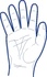 Papírenské zboží - Handschuh (HDPE) Einweg transparent `L` im Spenderkarton [500 St.]