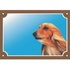 Papírenské zboží - Farbschild Achtung Hund, Afghanischer Windhund