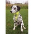 Papírenské zboží - Reflektierender Schal für Hunde TRIXIE L-XL, Halsumfang: 43-60 cm