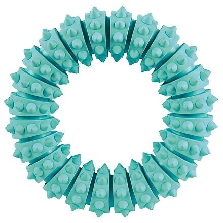 Papírenské zboží - DENTAfun kroužek s mátou 12cm 