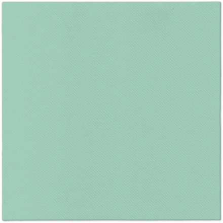 Papírenské zboží - Ubrousky PAW AIRLAID L 40x40cm Monocolor (light mint) [50 ks]