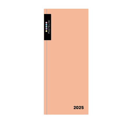 Papírenské zboží - Diář PVC měsíční 2025 PASTELINI meruňková