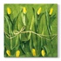 Papírenské zboží - Ubrousky PAW L 33x33cm Fresh Tulips