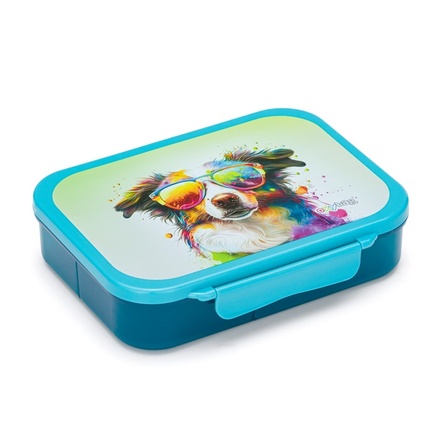 Papírenské zboží - Box na svačinu s přihrádkami Pes