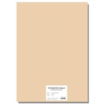 Papírenské zboží - Barevný karton EXTRA 300g 50x70cm meruňková [10 listů]