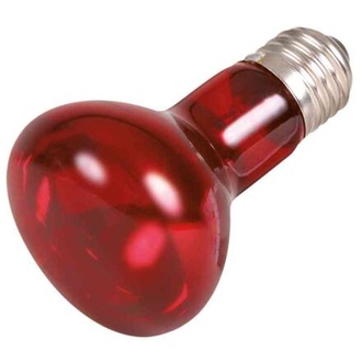 Papírenské zboží - Infrared Heat Spot-Lamp red 75 W