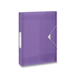 Papírenské zboží - Box na dokumenty Esselte Colour´Breeze ledově levandulová