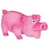 Papírenské zboží - Latex-Schweineborstenbürste mit Geräusch 10 cm