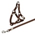 Papírenské zboží - Nylon-Katzengeschirr mit Leine 26–37 cm/10 mm, 1,20 m