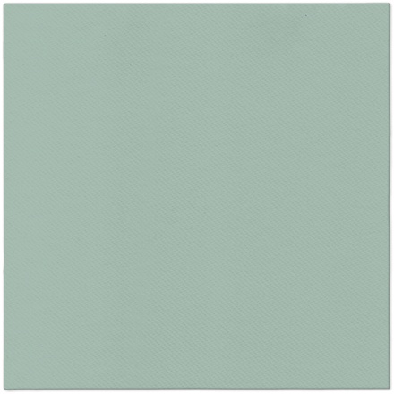 Papírenské zboží - Ubrousky PAW AIRLAID 40x40 cm Monocolor Light Green [50 ks]