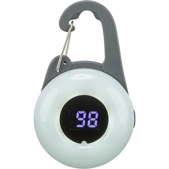 Papírenské zboží - Flasher USB blikačka LED pro psy,  o 4 x 6.5 cm (RP 2,10 Kč)