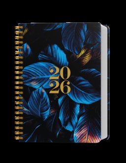 Papírenské zboží - Denní diář - David - Twin - Modré listy