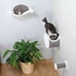 Papírenské zboží - Kratzbaum an der Wand mit Bett für eine Katze, 54 x 28 x 33 cm