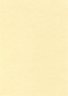 Papírenské zboží - Texturovaný papír, pergamenový efekt, šampaň, A4, 95g, APLI [100 listů]