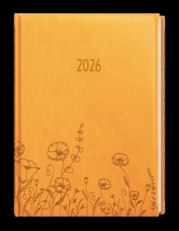 Papírenské zboží - Denní diář - David - Vivella s ražbou - A5 - okrová - Louka